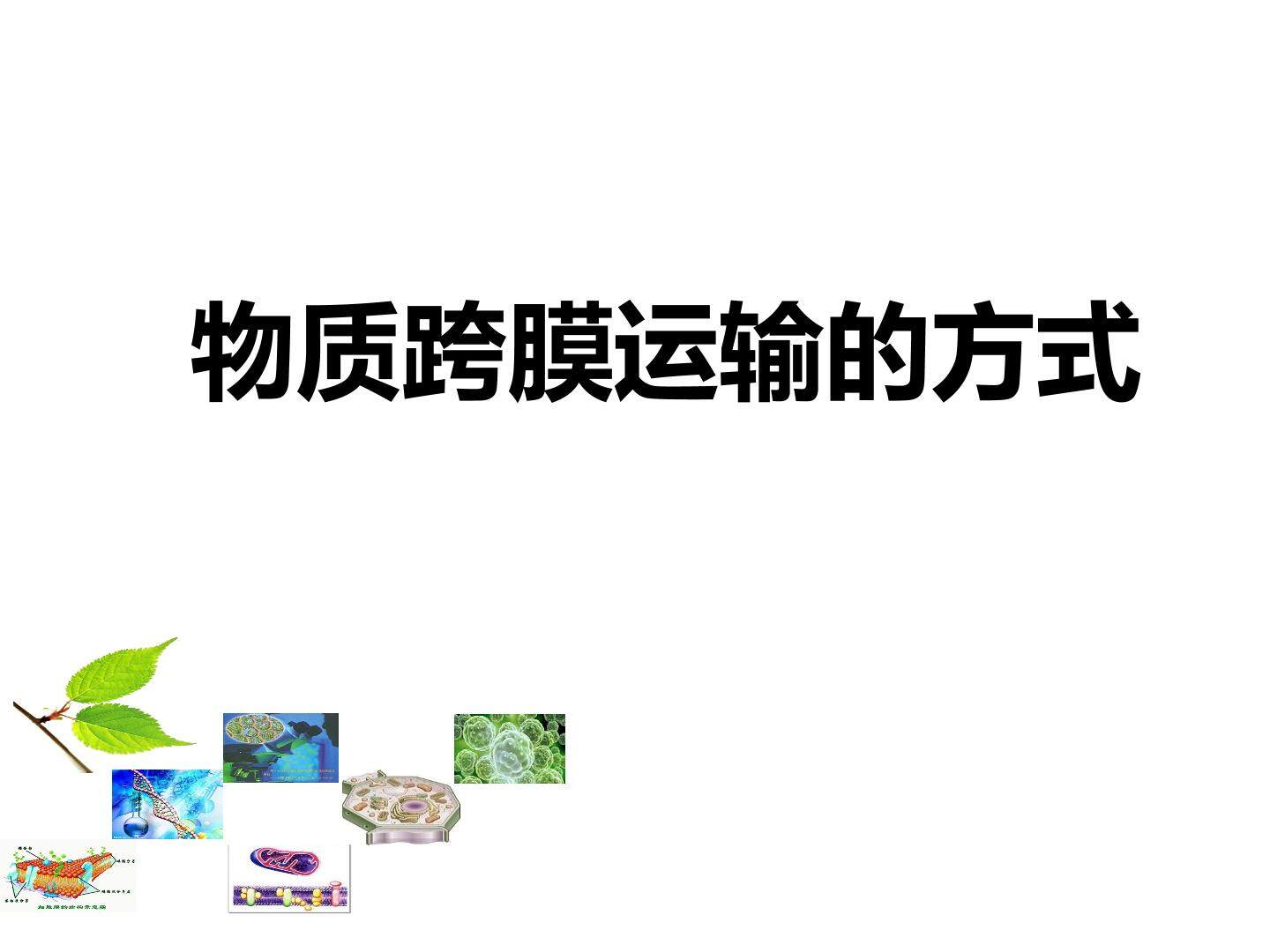 物质跨膜运输的方式_课件1
