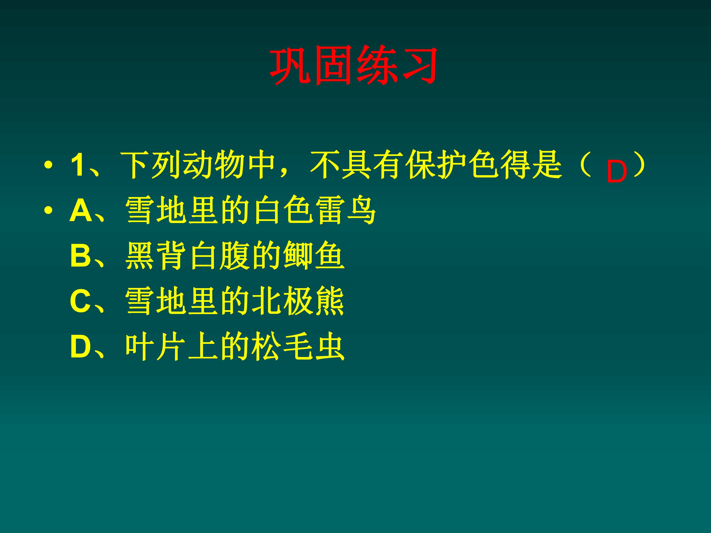 32.jpg