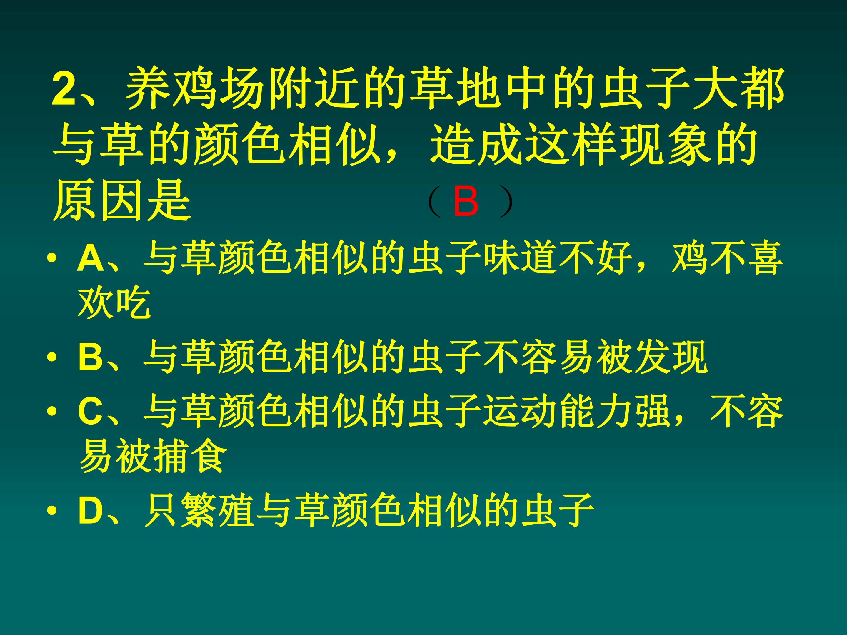 33.jpg
