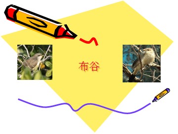 布谷_课件1