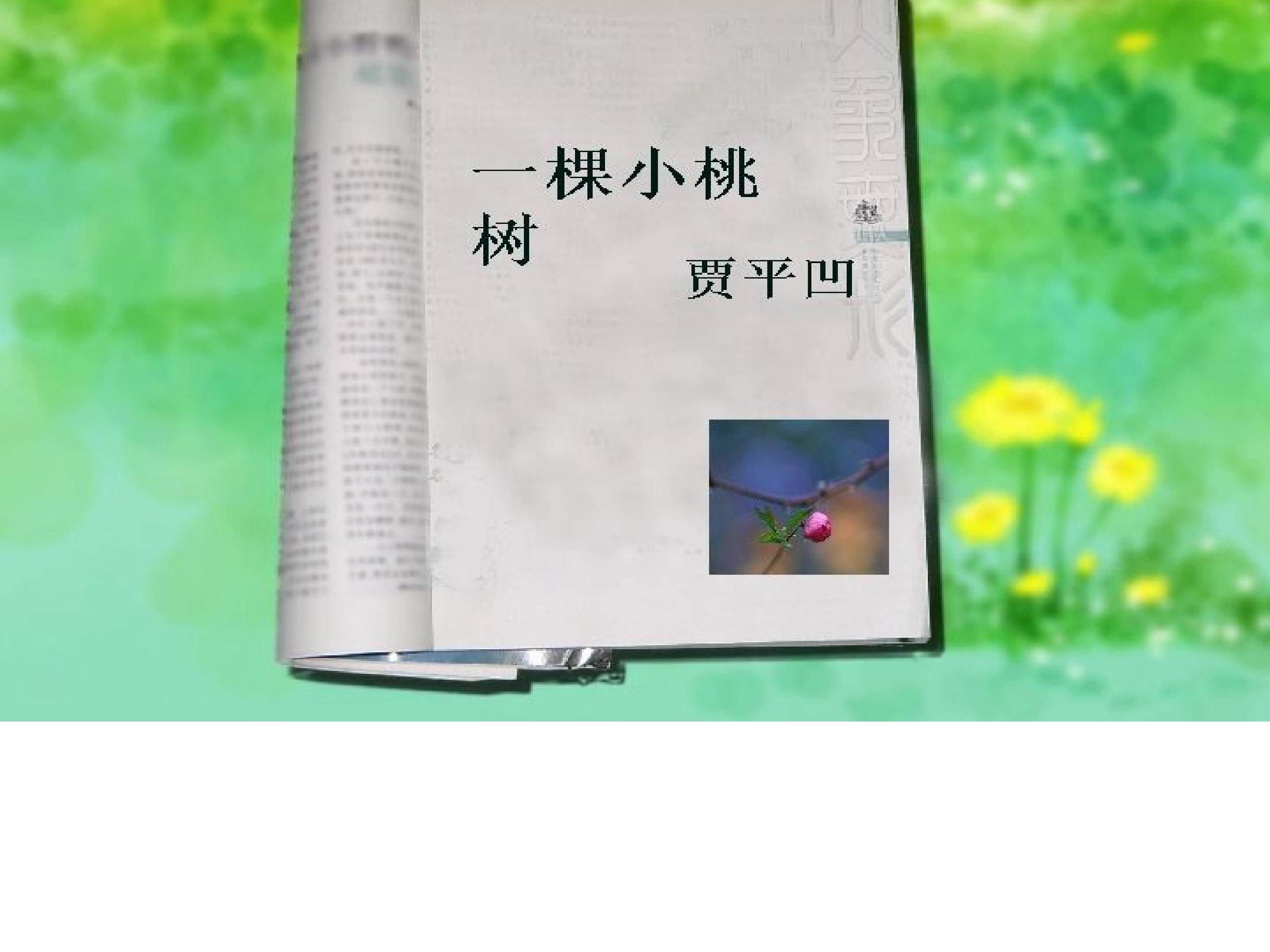 《一棵小桃树》