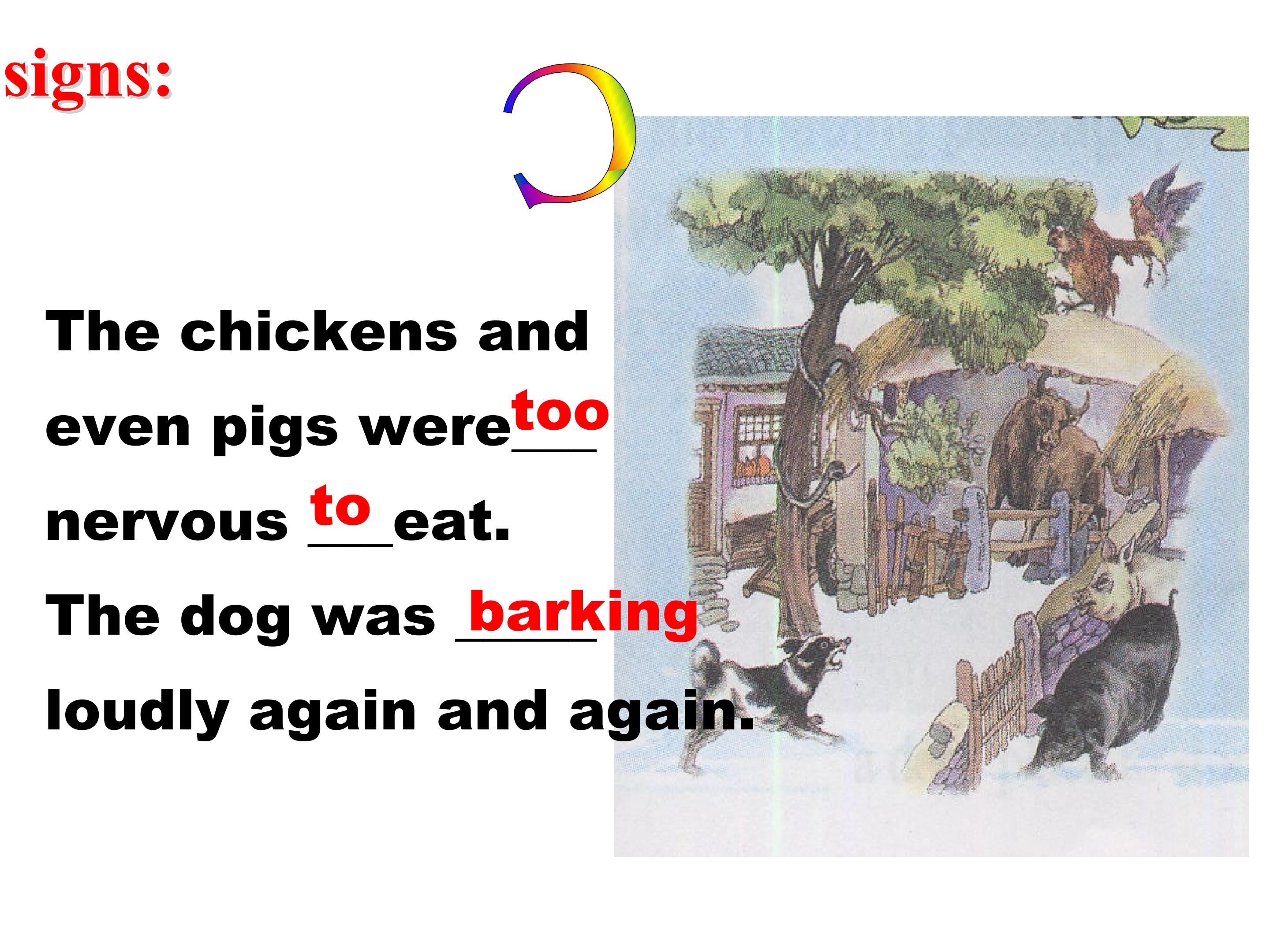 17.jpg
