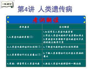 人类遗传病(一轮复习)