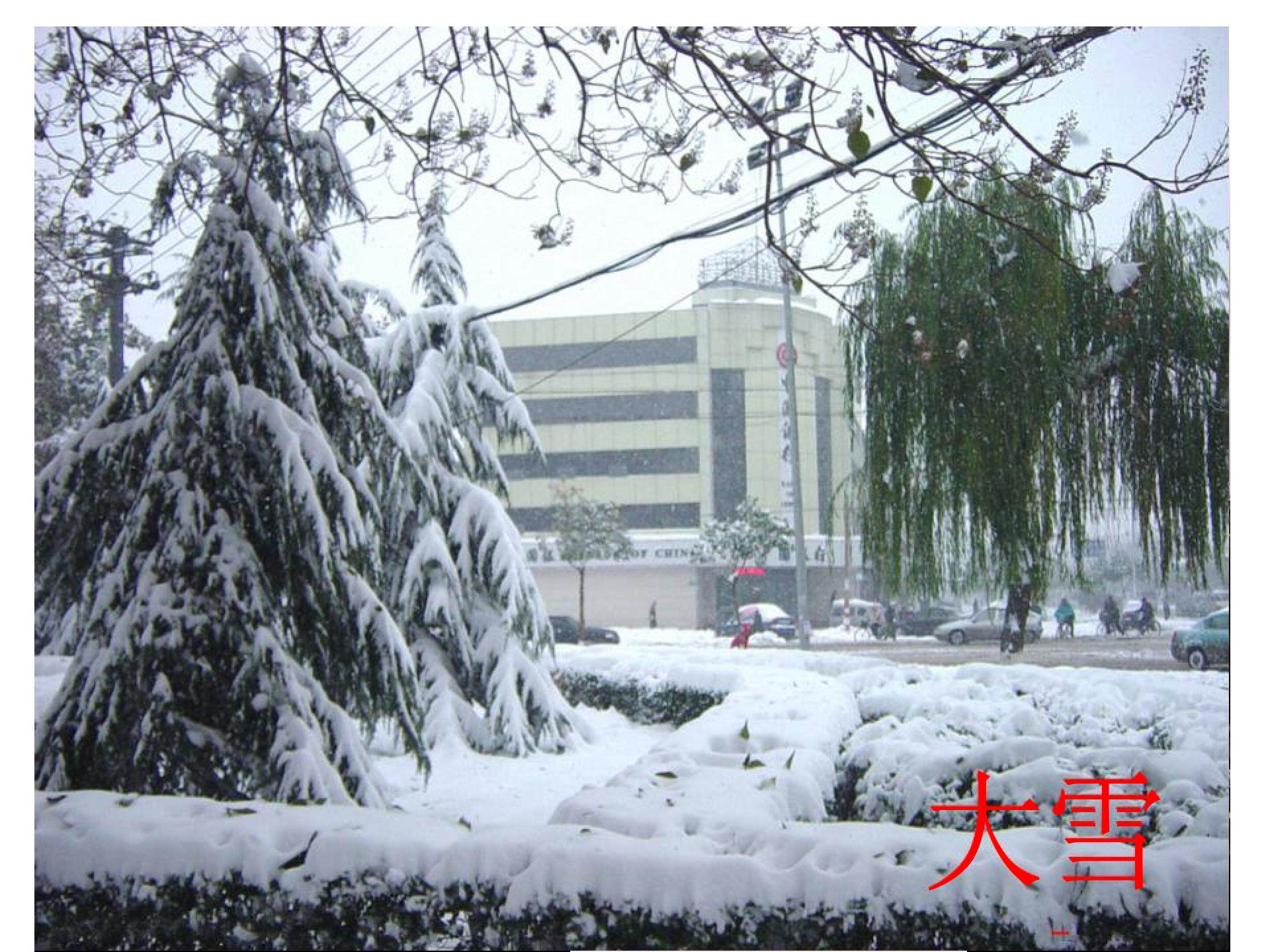 常见的天气系统----锋与天气