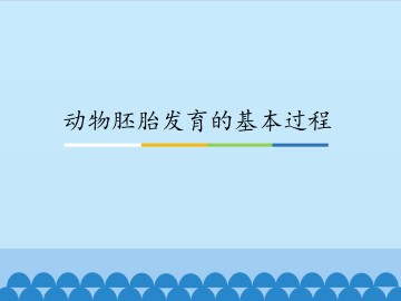 动物胚胎发育的基本过程_课件1