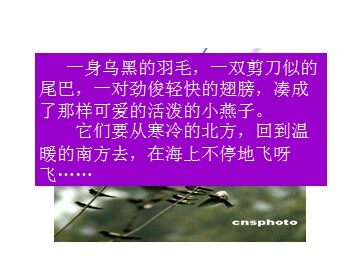 6 燕子专列