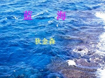 蓝海_课件1