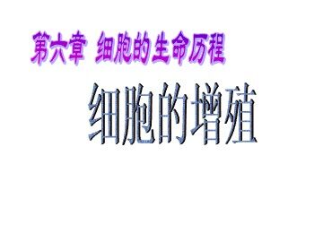 第1节  细胞的增殖