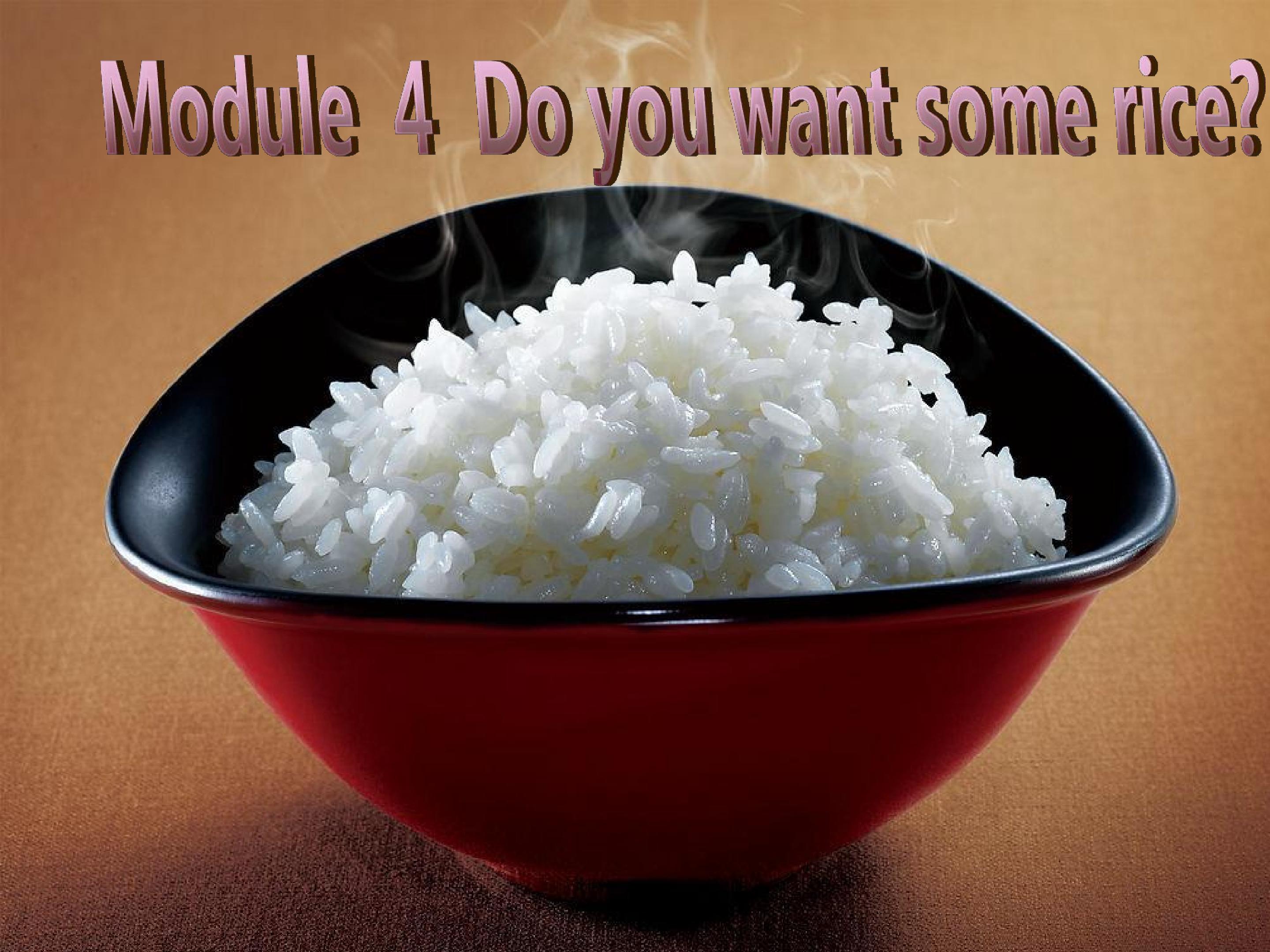 Do you want some rice?