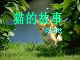 猫的故事_课件1