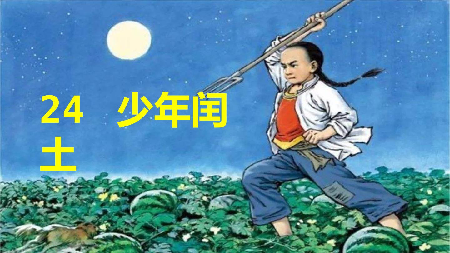 11.jpg