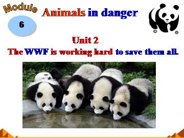 The WWF is working hard to save them all._课件2