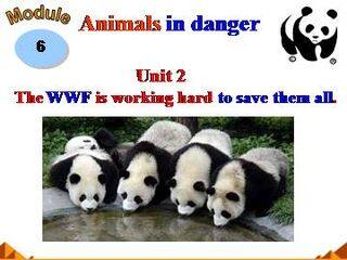 The WWF is working hard to save them all._课件2