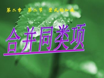 信息技术应用 电子表格与数据计算