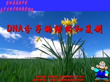 生物高中必修2第三章第二、三节课件2