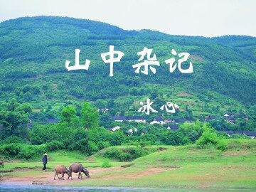 山中杂记_课件1