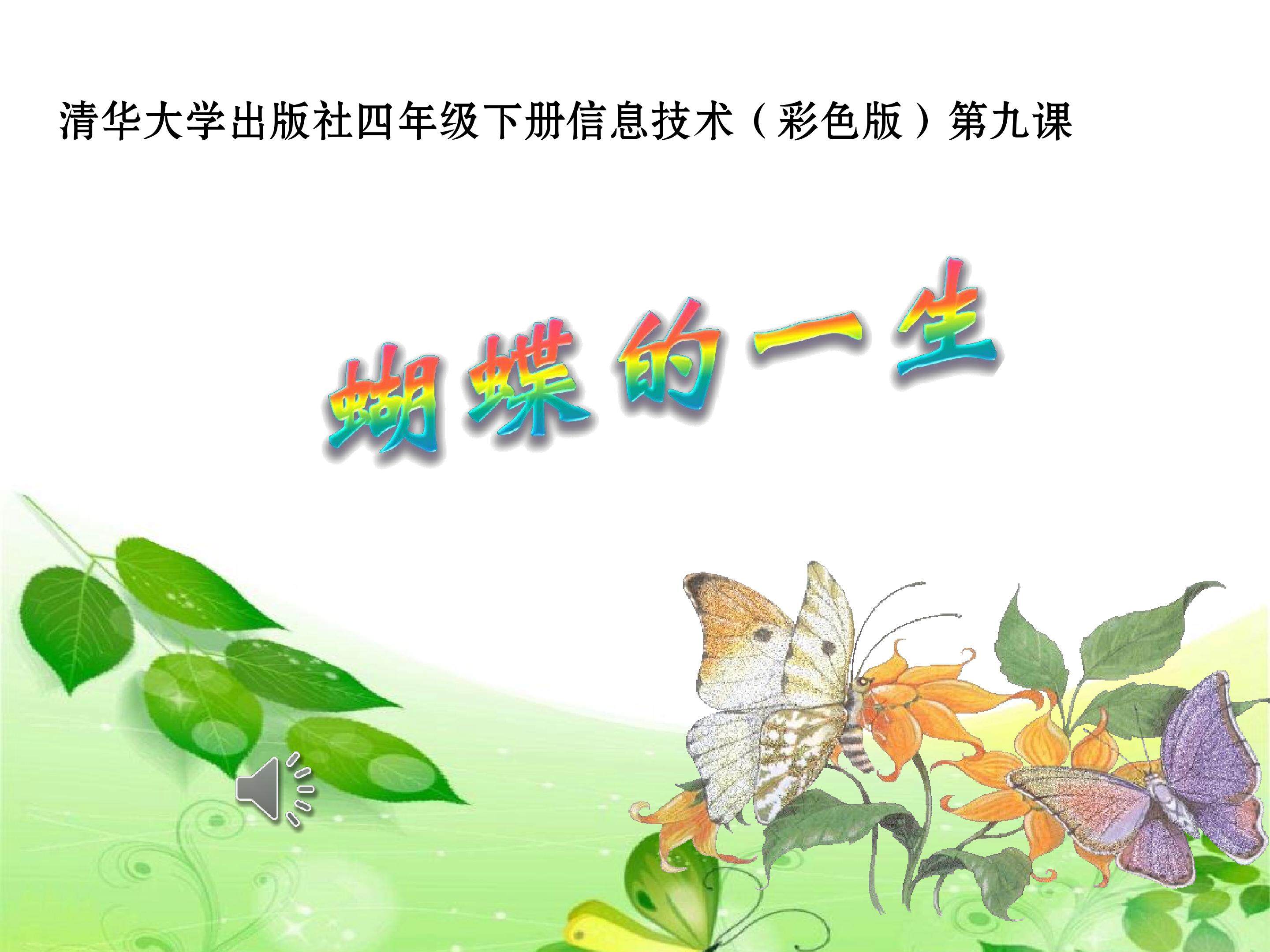 蝴蝶的一生