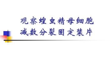 生物高中必修2第二章第一节第二课时课件