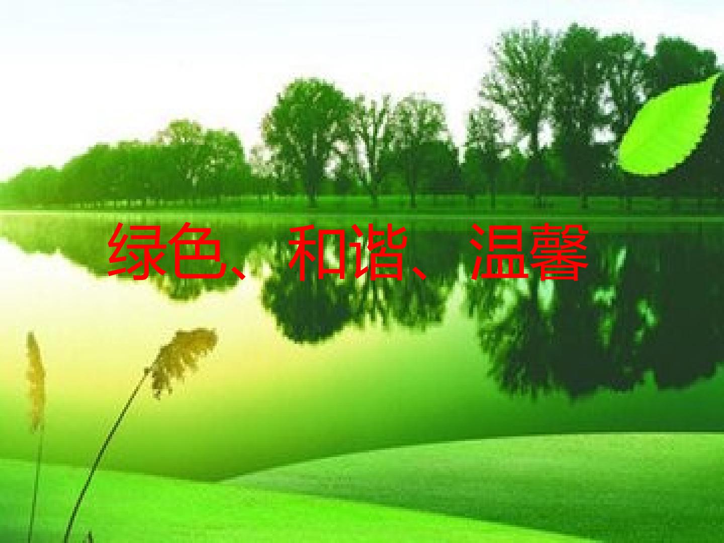 36.jpg