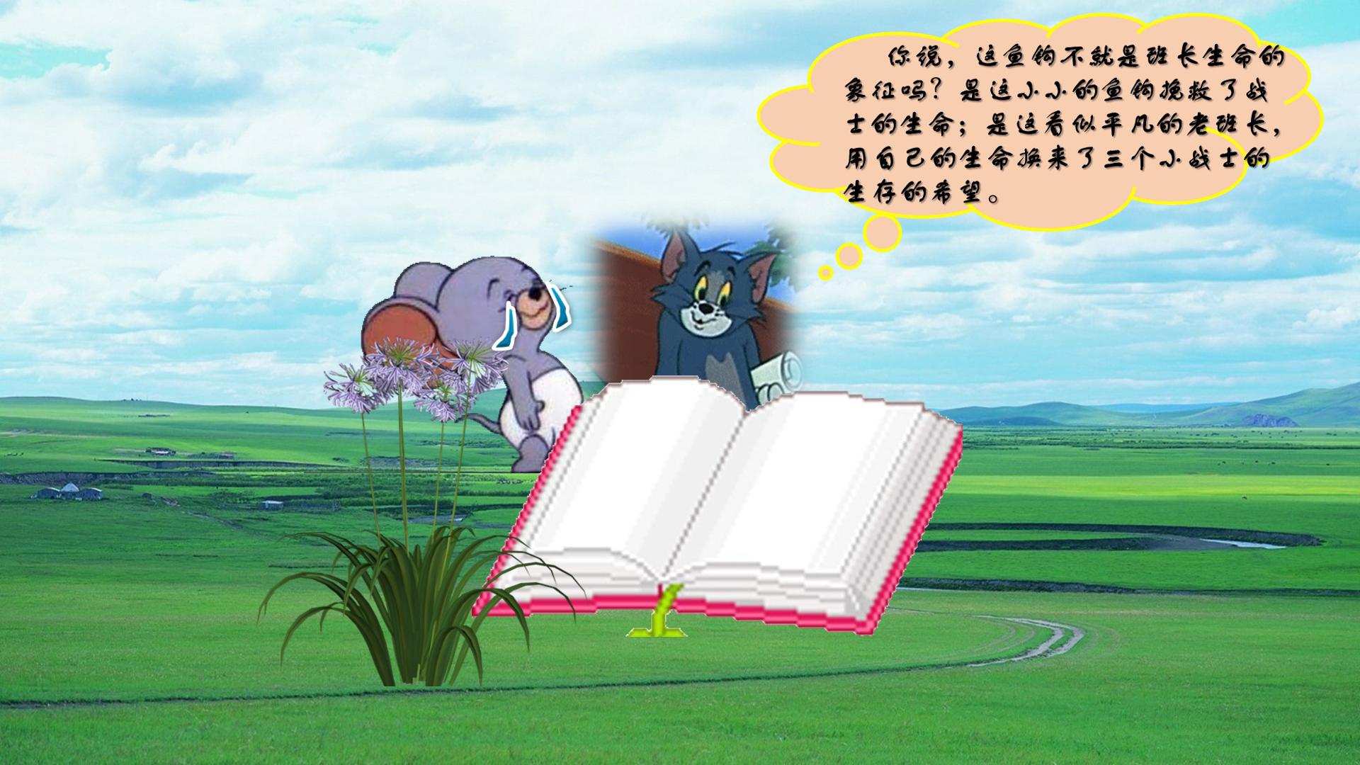 17.jpg