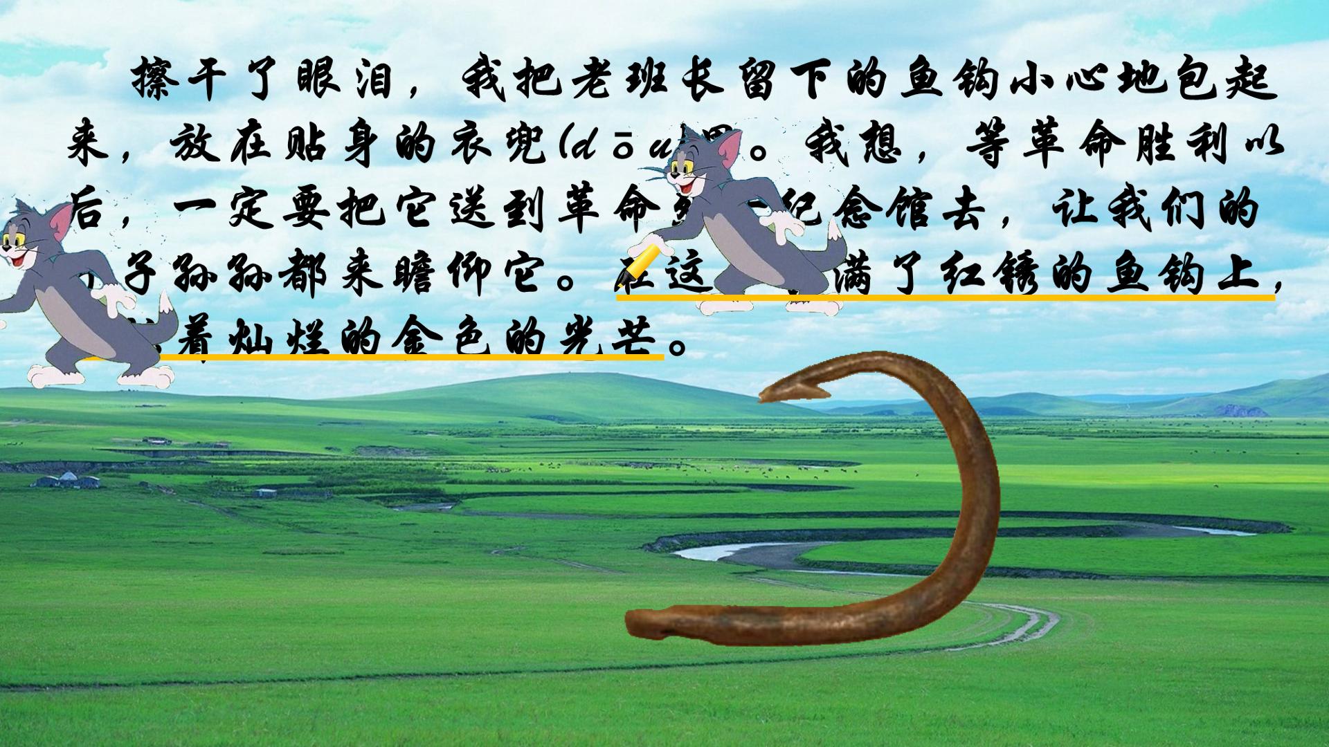 19.jpg