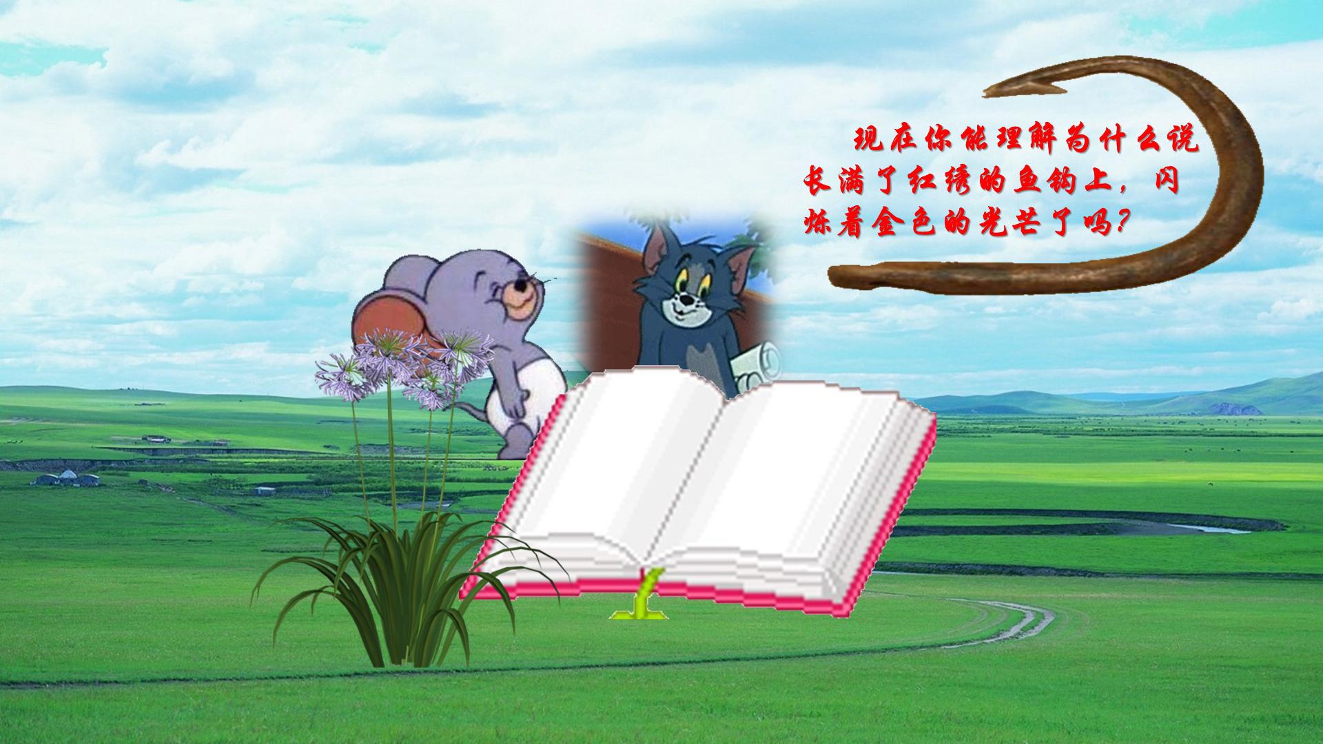 20.jpg