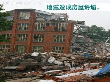 17 地震中的父与子