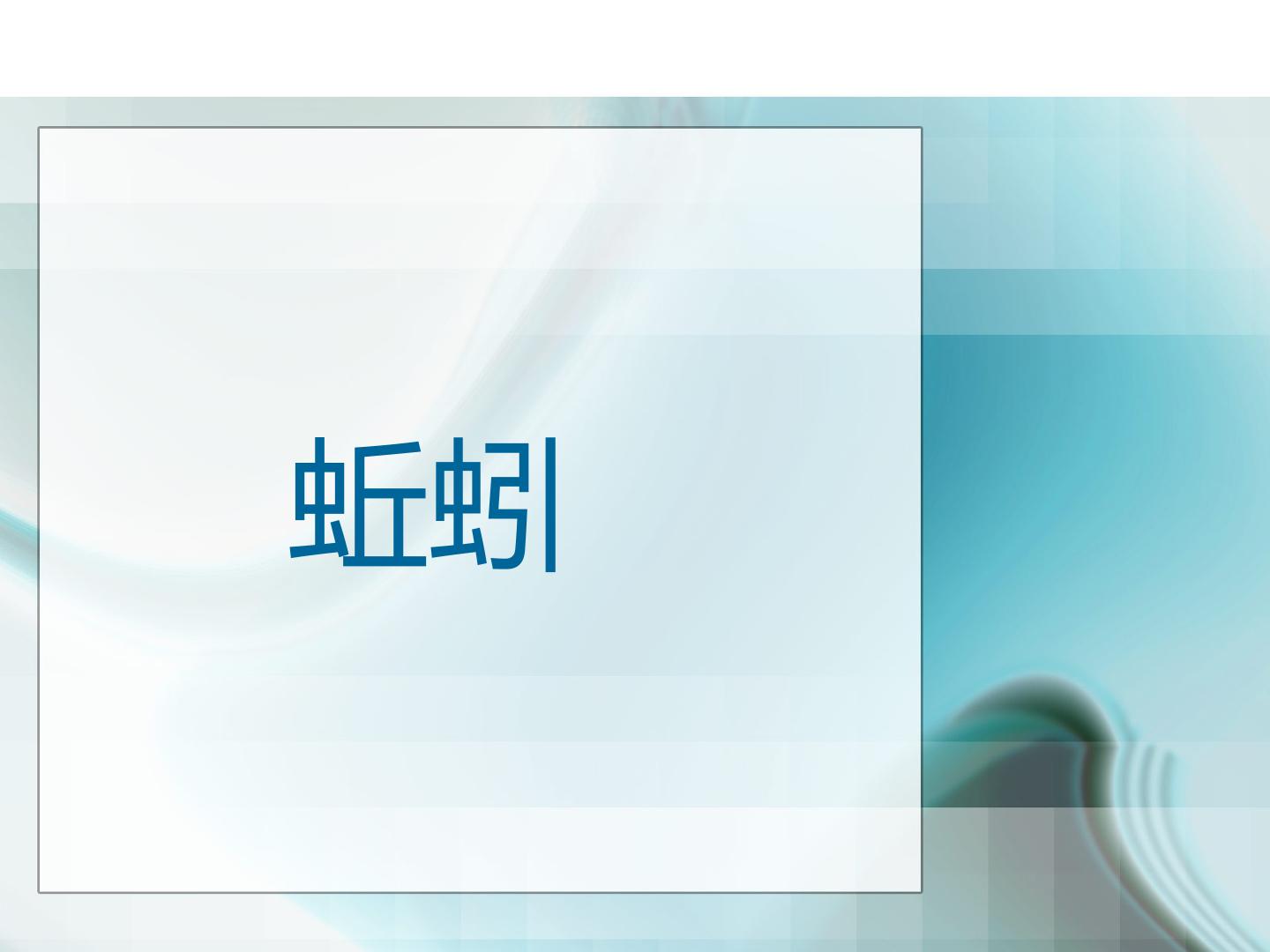 蚯蚓_课件1