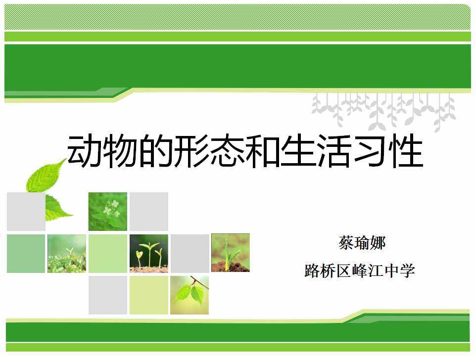 观察动物的形态和生活习性