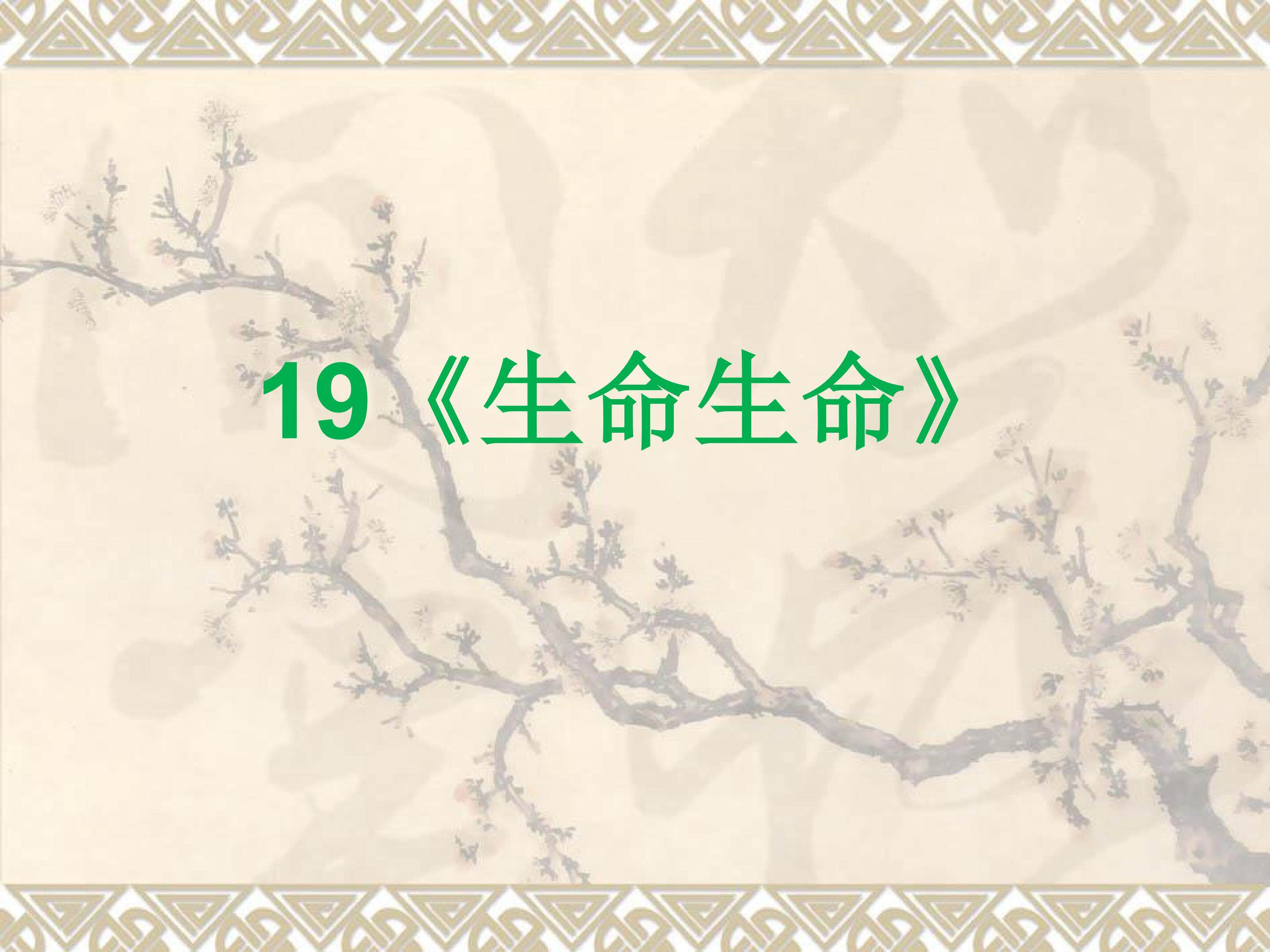 19《生命生命》