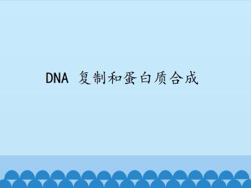 DNA 复制和蛋白质合成_课件1