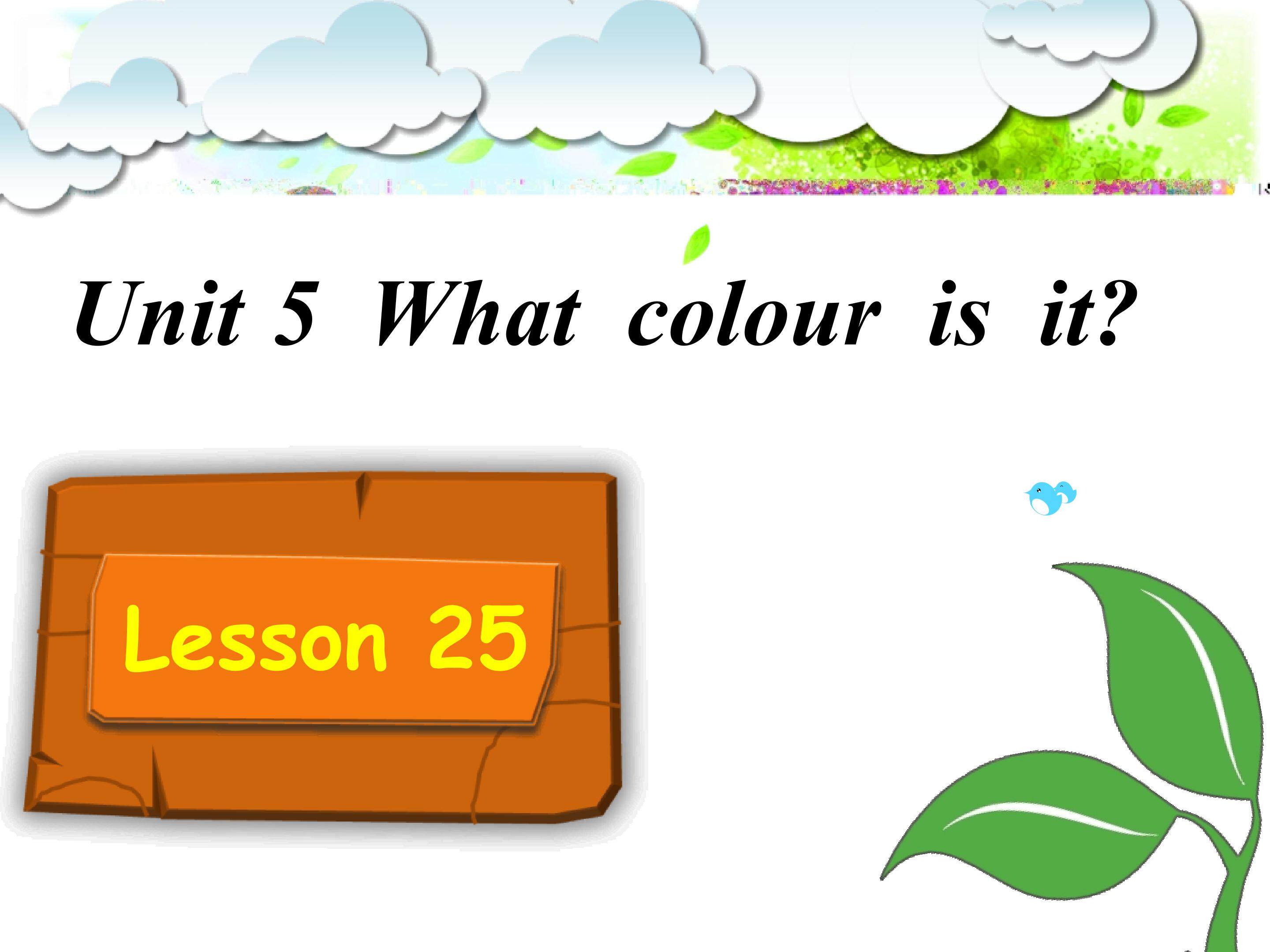 What colour is it？