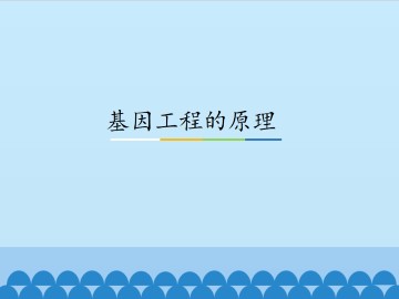 基因工程的原理_课件1