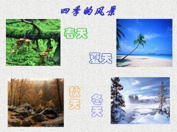 春_课件14