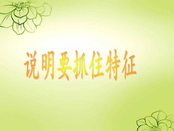 说明要抓住特征_课件1