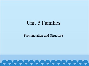 Unit 5 Families Pronunciation and Structure_课件1