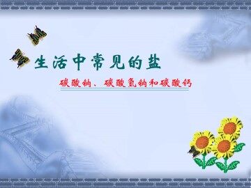 生活中常见的盐_课件2