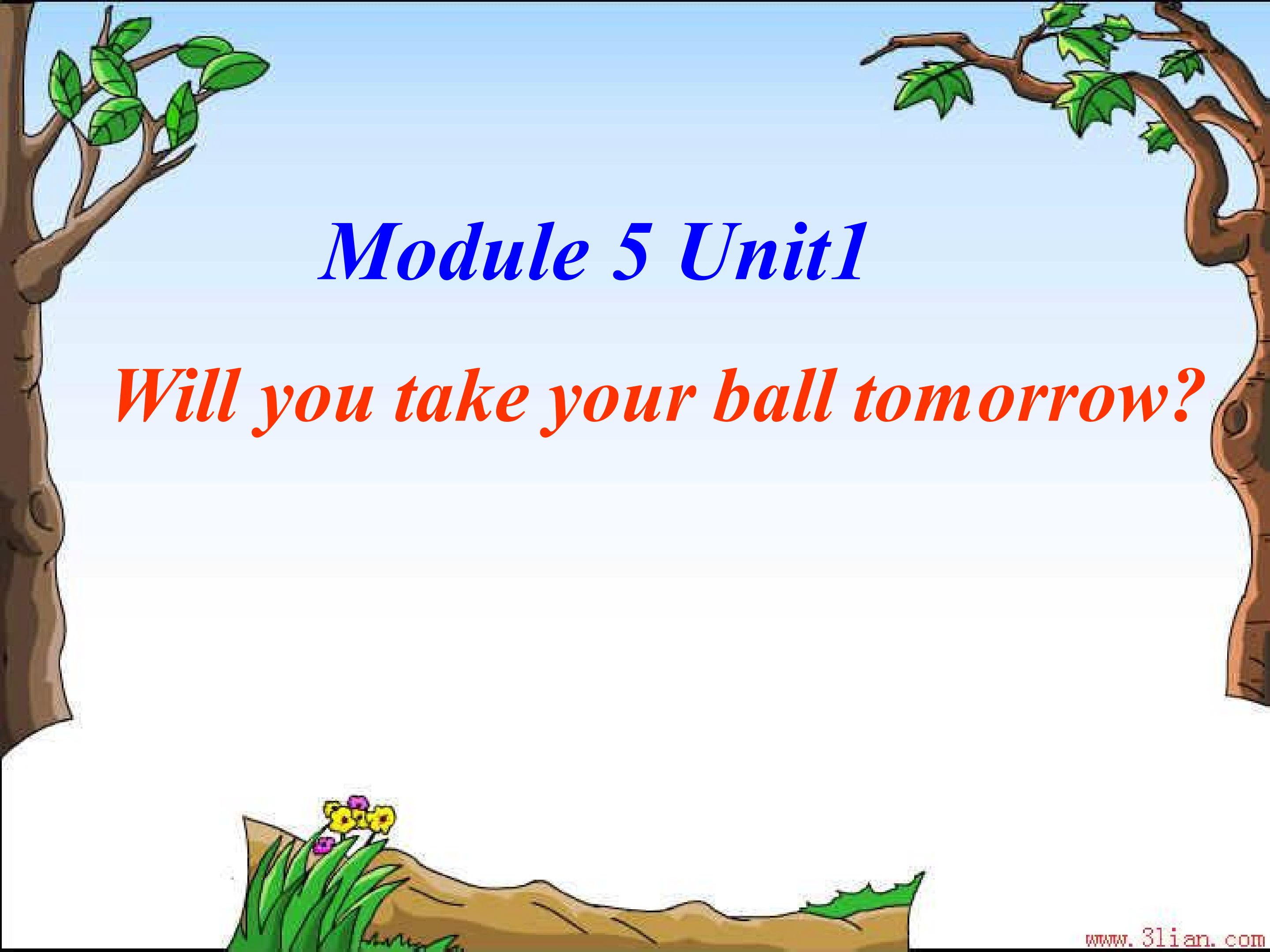 Module5 Unit1 Will you take your ball ?