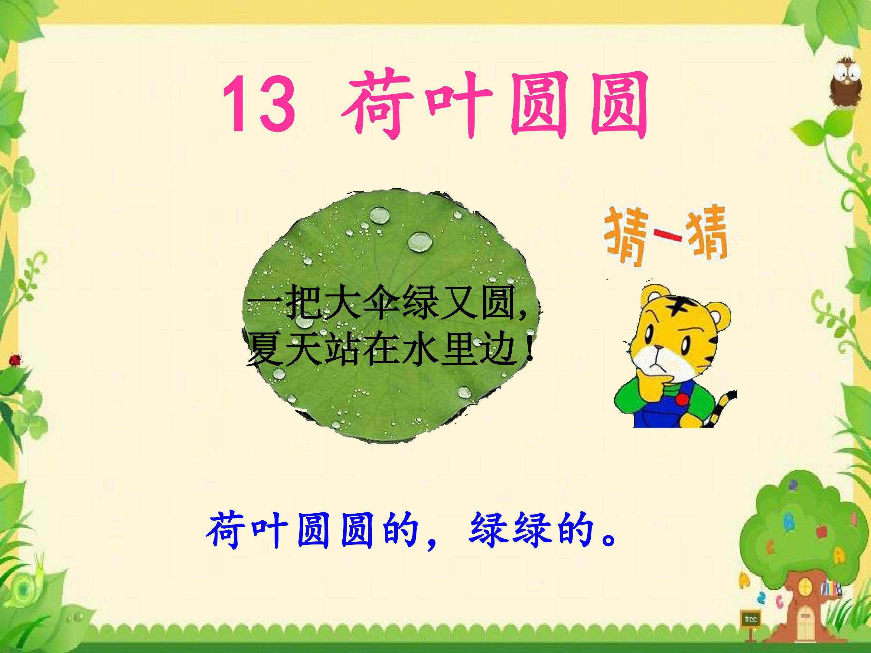 部编人教版一年级下册《13荷叶圆圆》课件