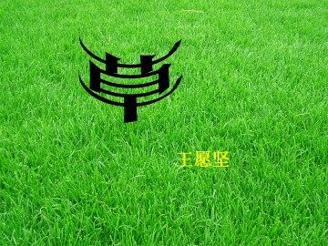 草_课件7