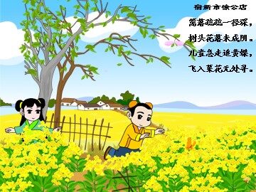二、设置动画顺序