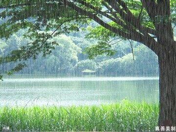 1  春雨的色彩