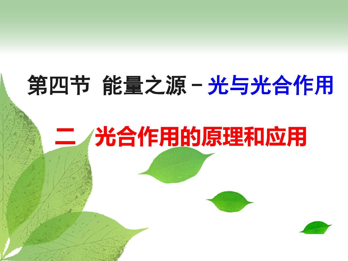 二  光合作用的原理和应用