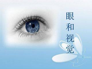 西藏洋思----眼与视觉