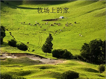牧场上的家_课件1