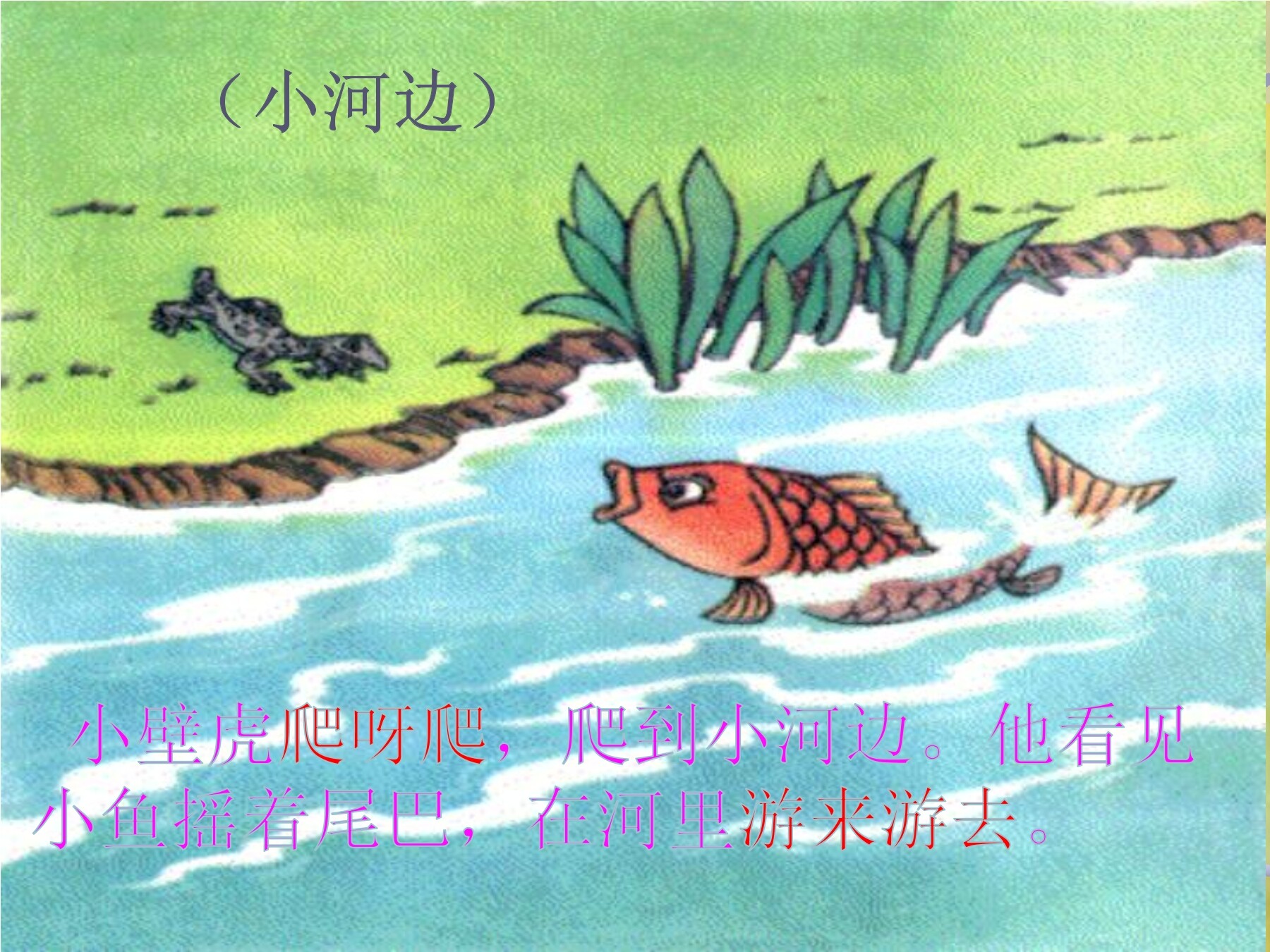 19