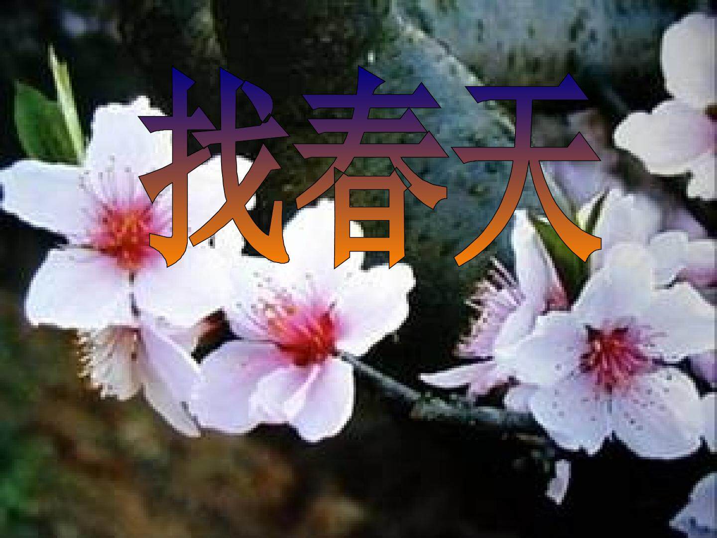 找春天_课件4