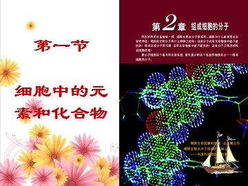 第1节  细胞中的元素和化合物
