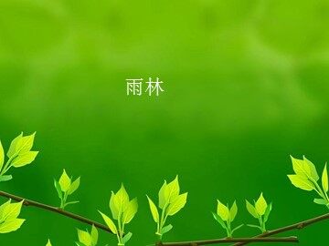 雨林_课件1