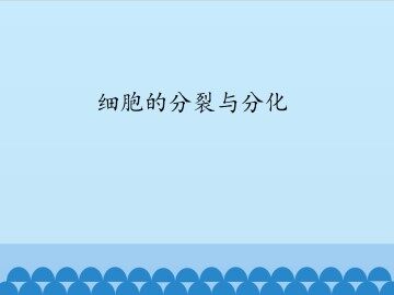 细胞的分裂与分化_课件1
